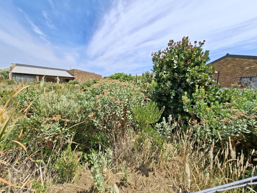 0 Bedroom Property for Sale in Pringle Bay Western Cape